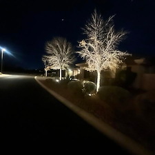 Landscape Lighting 8